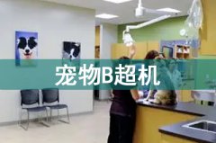 獸用B超機探頭和電池保養使用說明